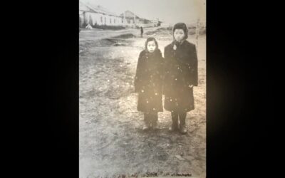 Harvesting the Light: The Graves of Diaspora