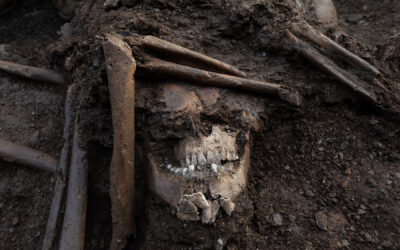 206: Unearthed