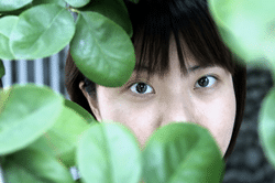 황미연