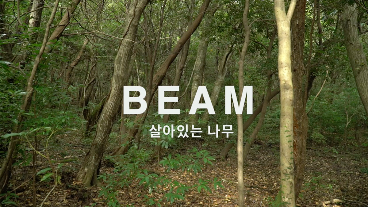 BEAM : GREEN BEING