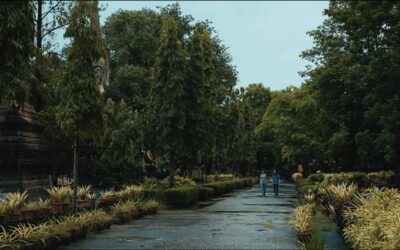 The Observer’s Journal