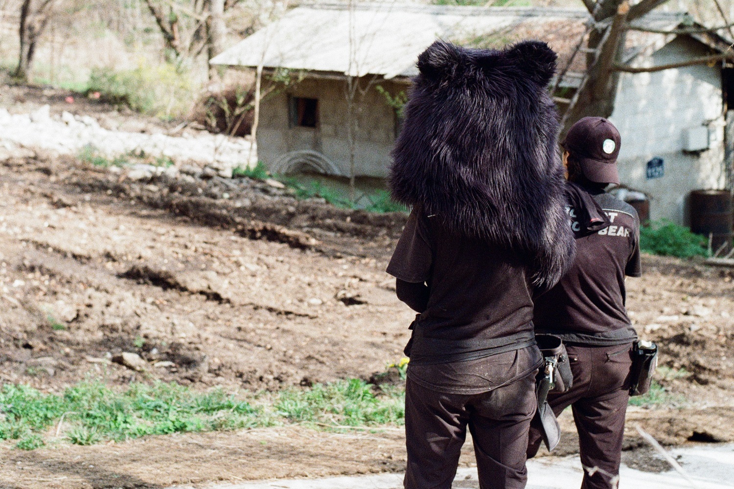 Where We Stay for a While