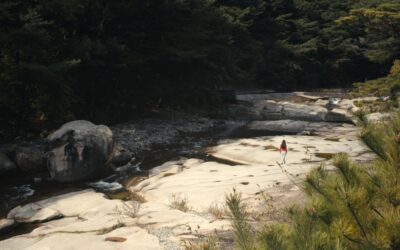 Dream Within a Dream