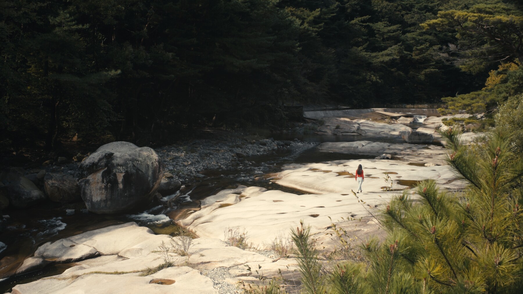 Dream Within a Dream