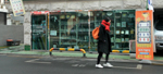 siff2014_dvd_03.jpg