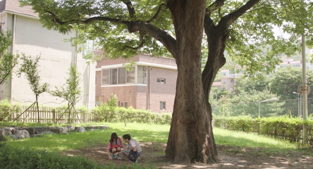 토끼의 뿔 스틸컷 1