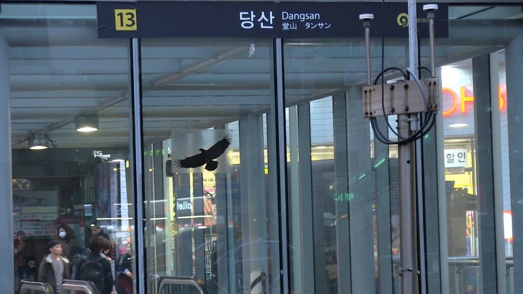 당산 스틸컷 4
