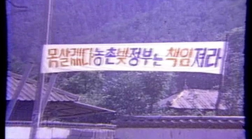 파랑새 스틸컷 4