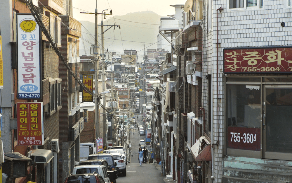 나는 사자다 스틸컷 2