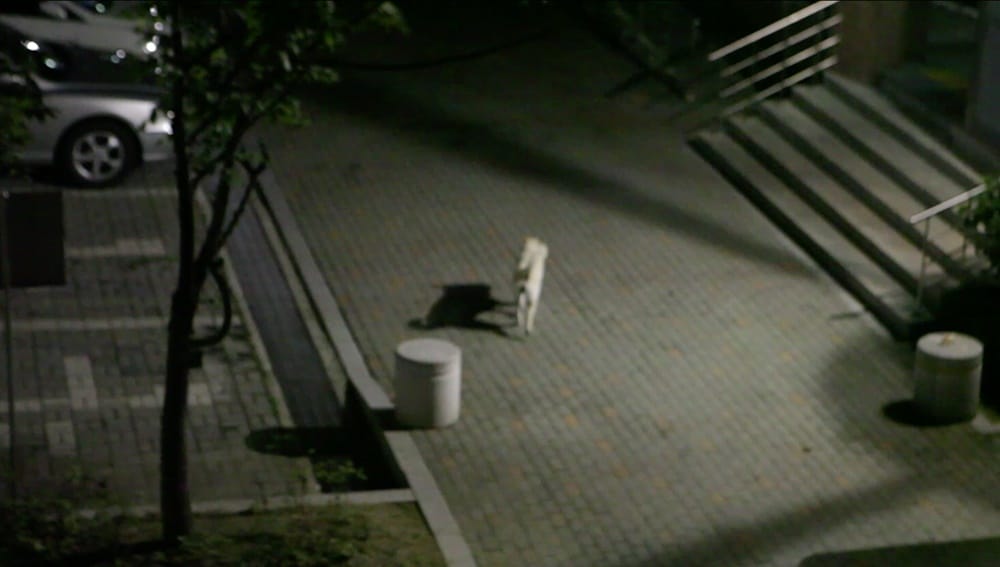 붕붕 스틸컷 2