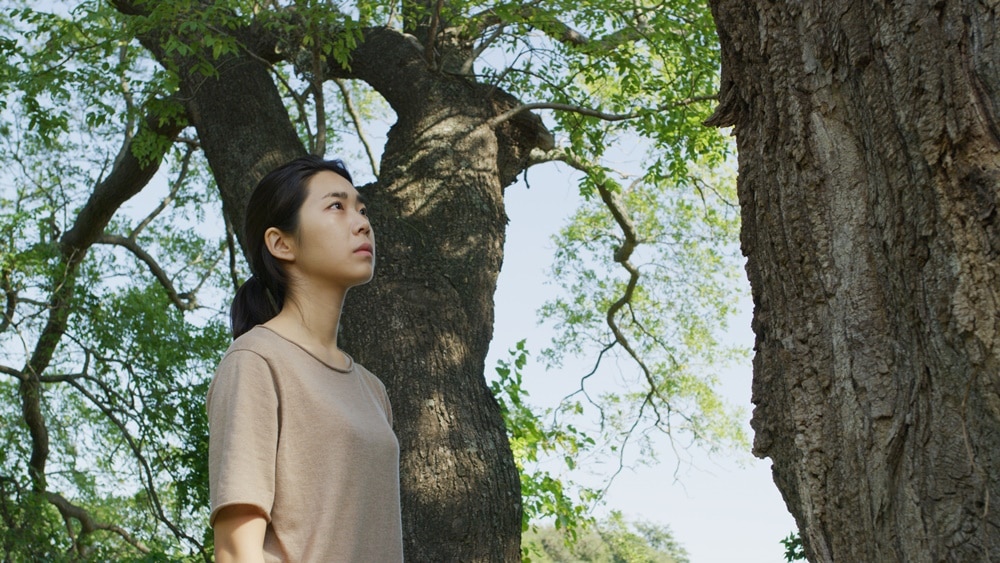 비밀의 정원 스틸컷 1