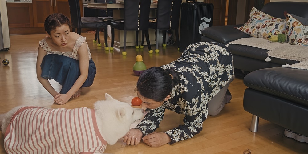 세마리 스틸컷 2