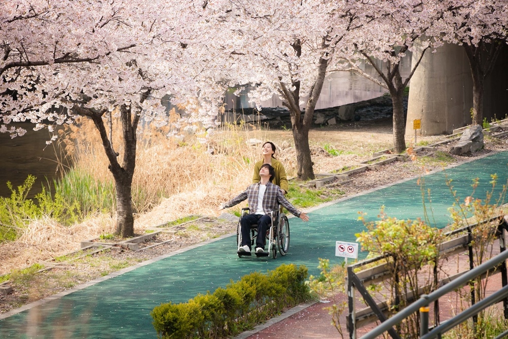 종이꽃 스틸컷 2