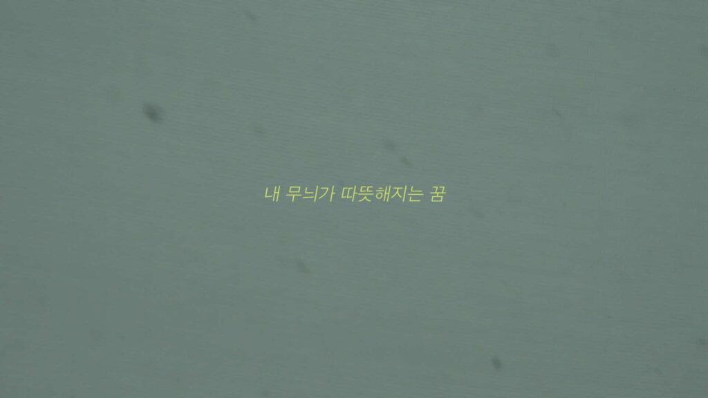 고양이는 자는 척을 할까 스틸컷 4