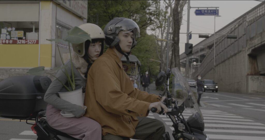 텐트틴트 스틸컷 5