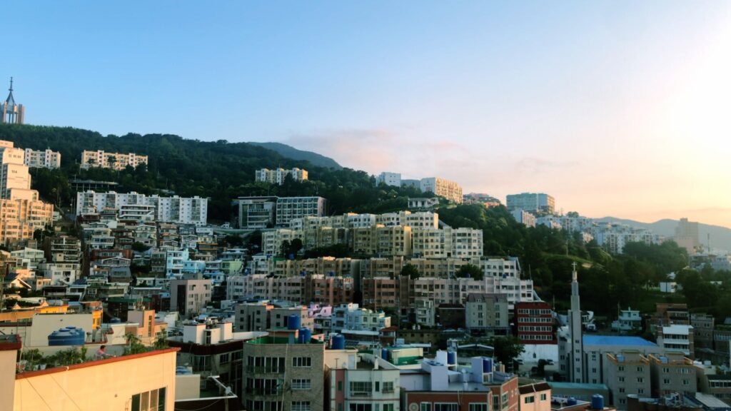 여기, 나의 정원 스틸컷 3