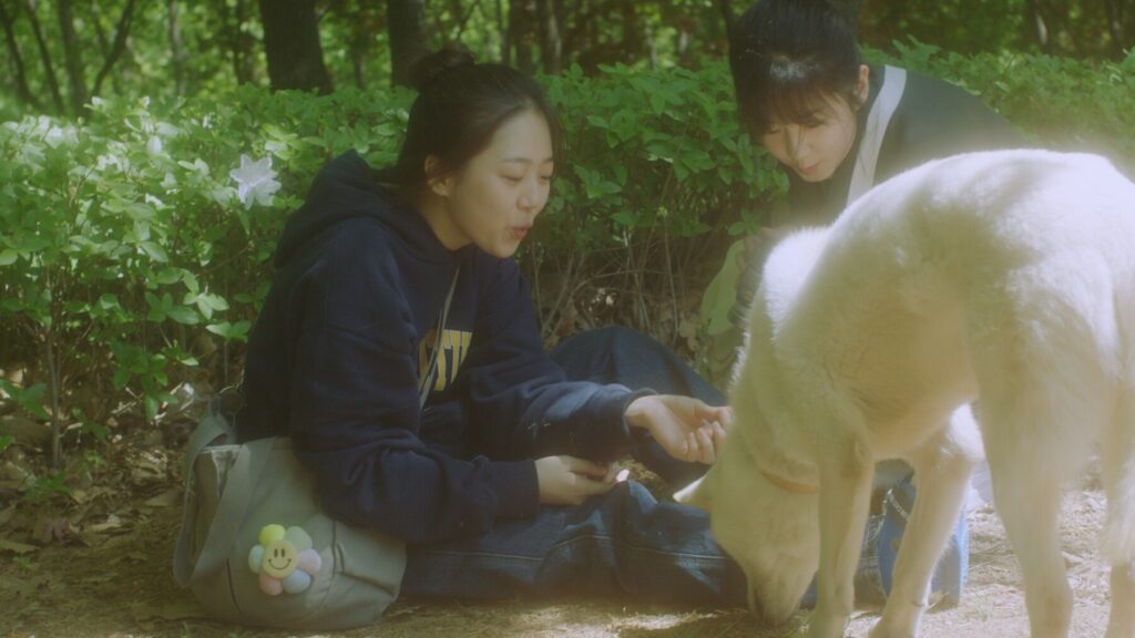 너와 나 스틸컷 2