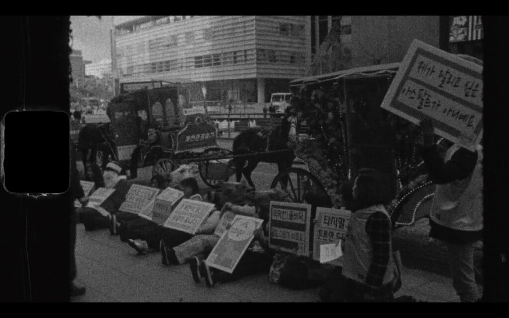 오색의 린 스틸컷 2