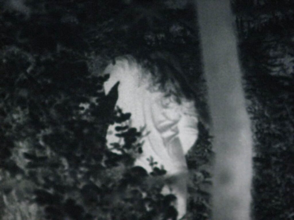 교미기-Ⅰ. 기이한 꿈 스틸컷 1