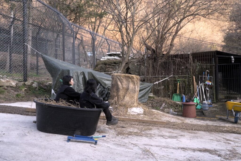 단지, 우리가 잠시 머무는 곳 스틸컷 2